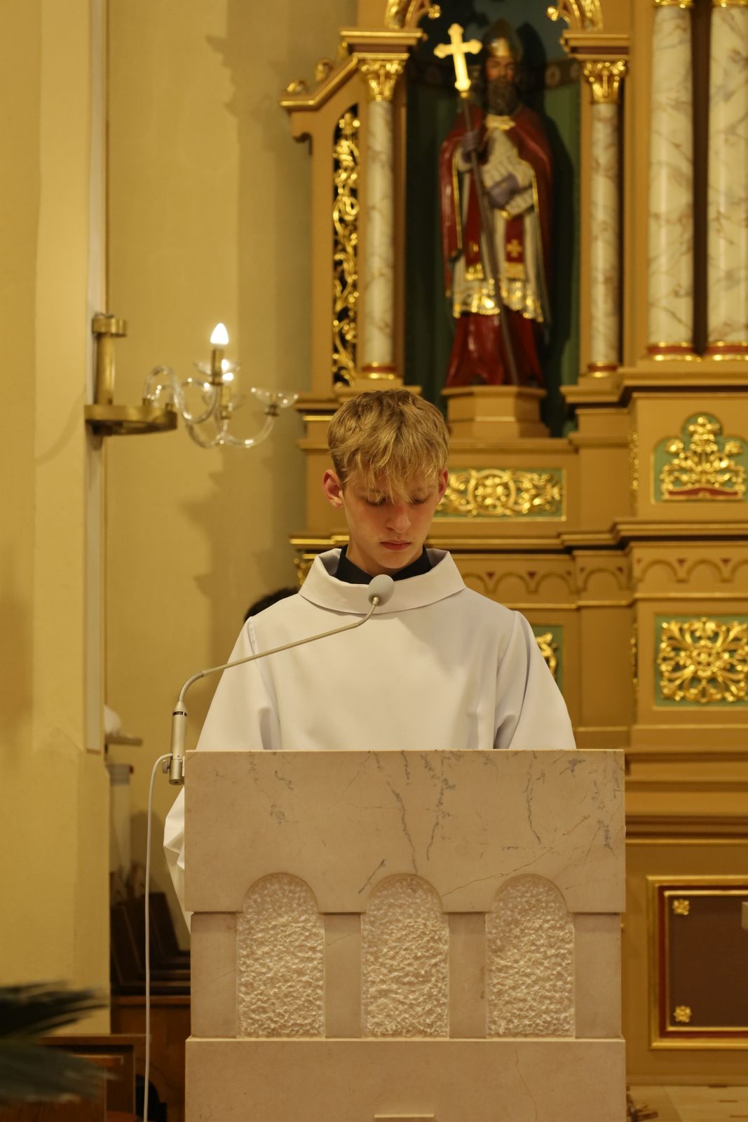 Warzyce - serwis informacyjny wsi. Warzyce.pl