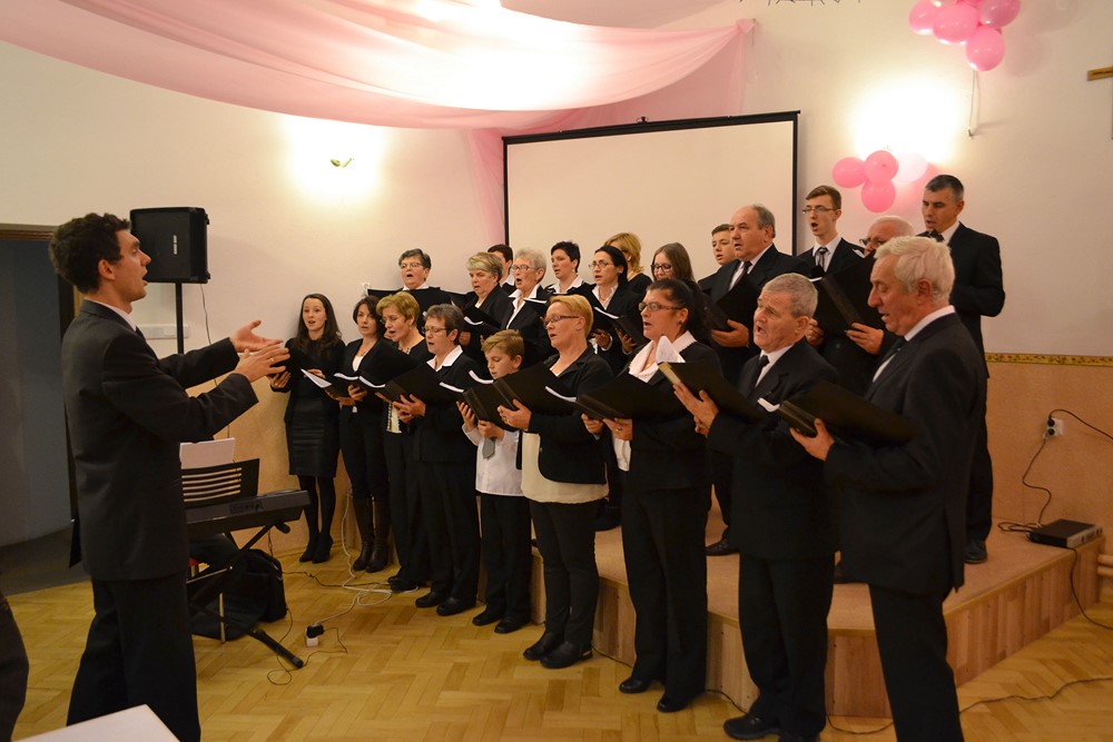 Warzyce - serwis informacyjny wsi. Warzyce.pl