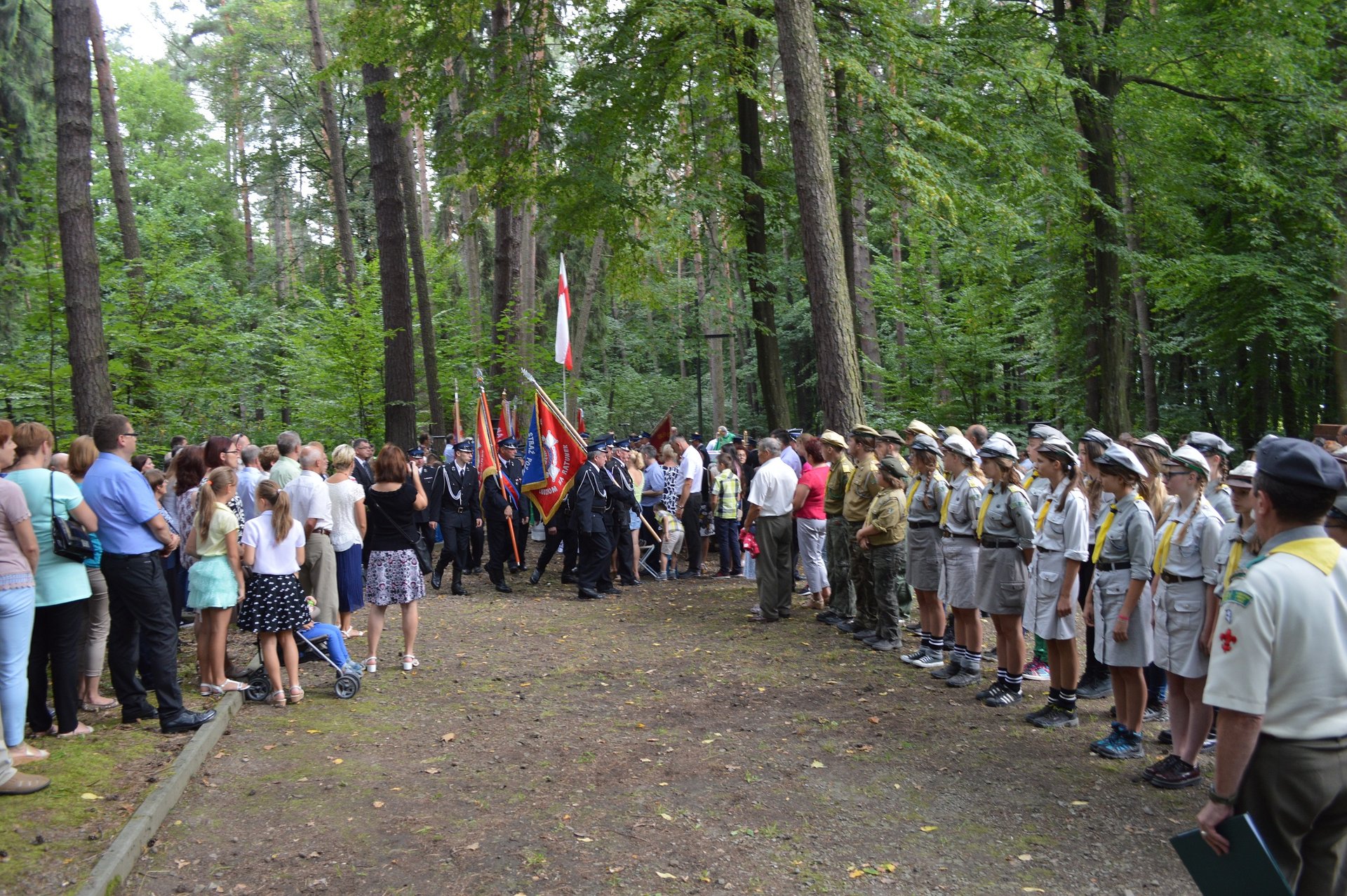 Warzyce - serwis informacyjny wsi. Warzyce.pl