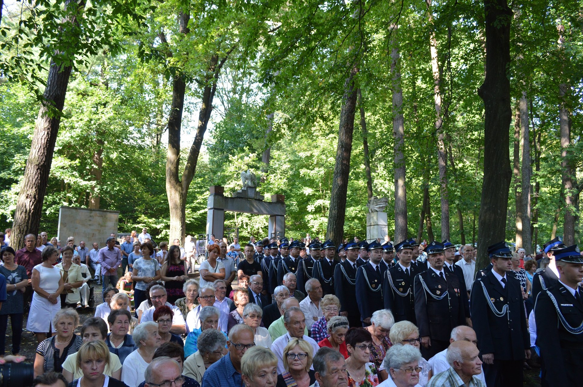 Warzyce - serwis informacyjny wsi. Warzyce.pl