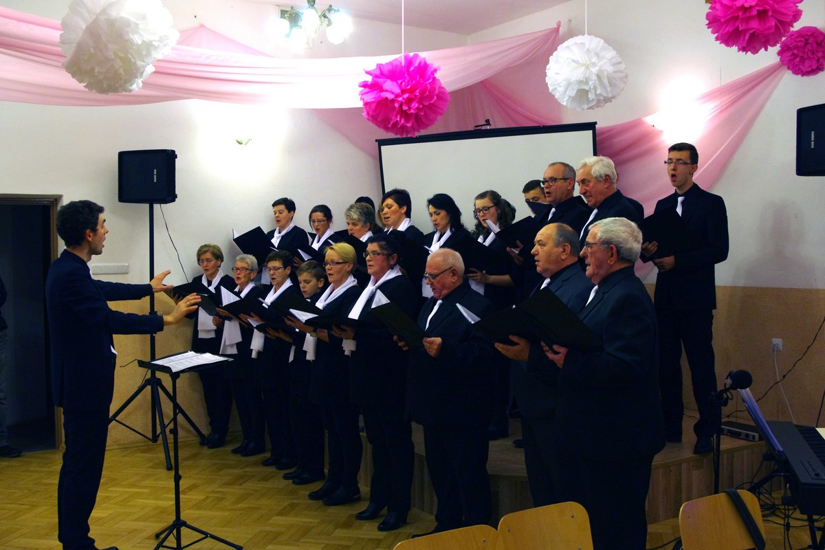 Warzyce - serwis informacyjny wsi. Warzyce.pl
