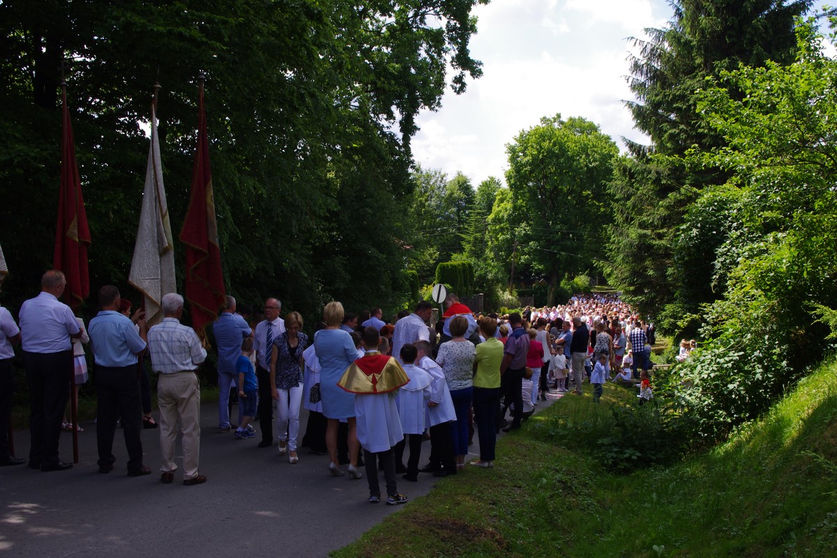 Warzyce - serwis informacyjny wsi. Warzyce.pl