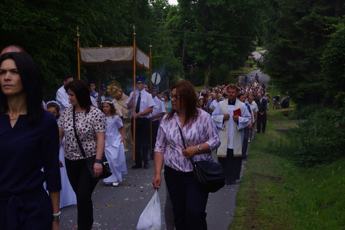 Warzyce - serwis informacyjny wsi. Warzyce.pl
