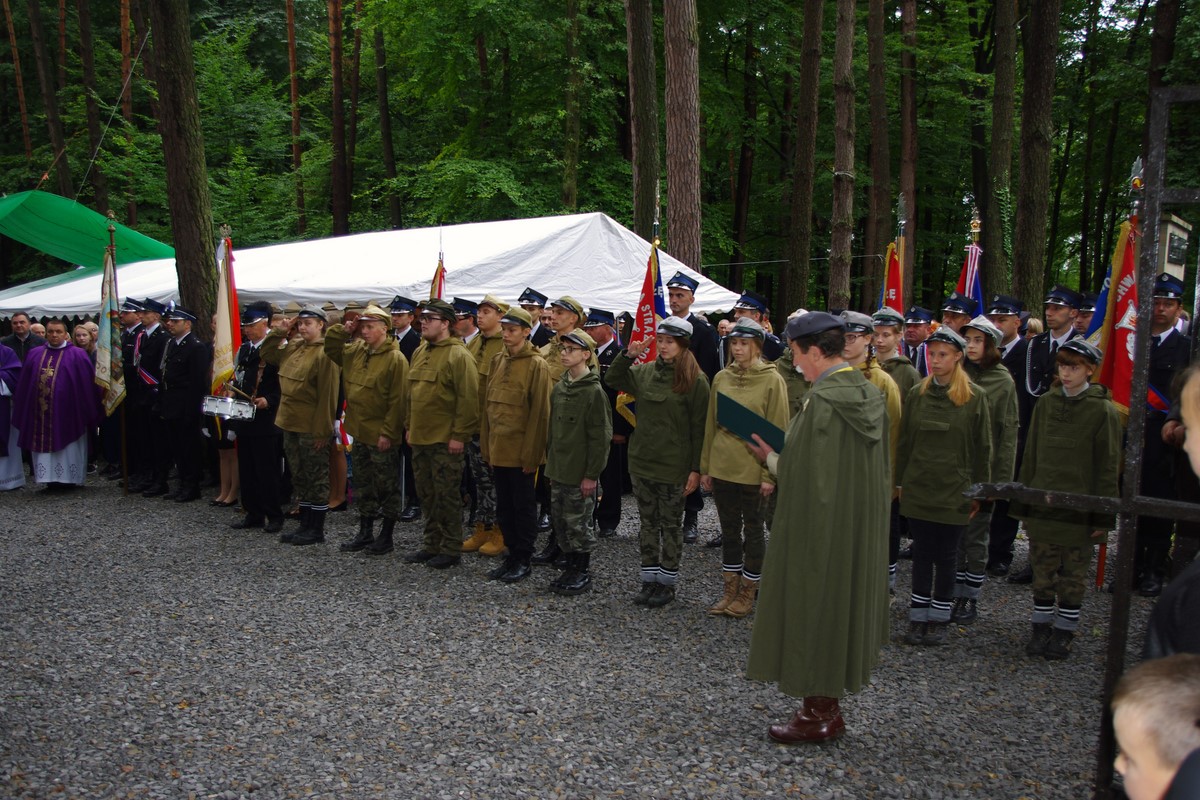 Warzyce - serwis informacyjny wsi. Warzyce.pl