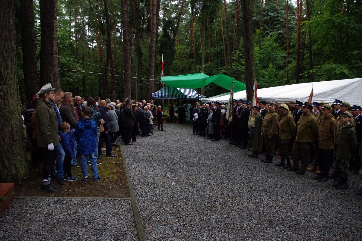 Warzyce - serwis informacyjny wsi. Warzyce.pl