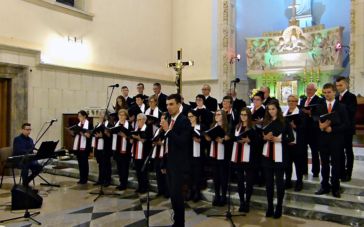 Warzyce - serwis informacyjny wsi. Warzyce.pl