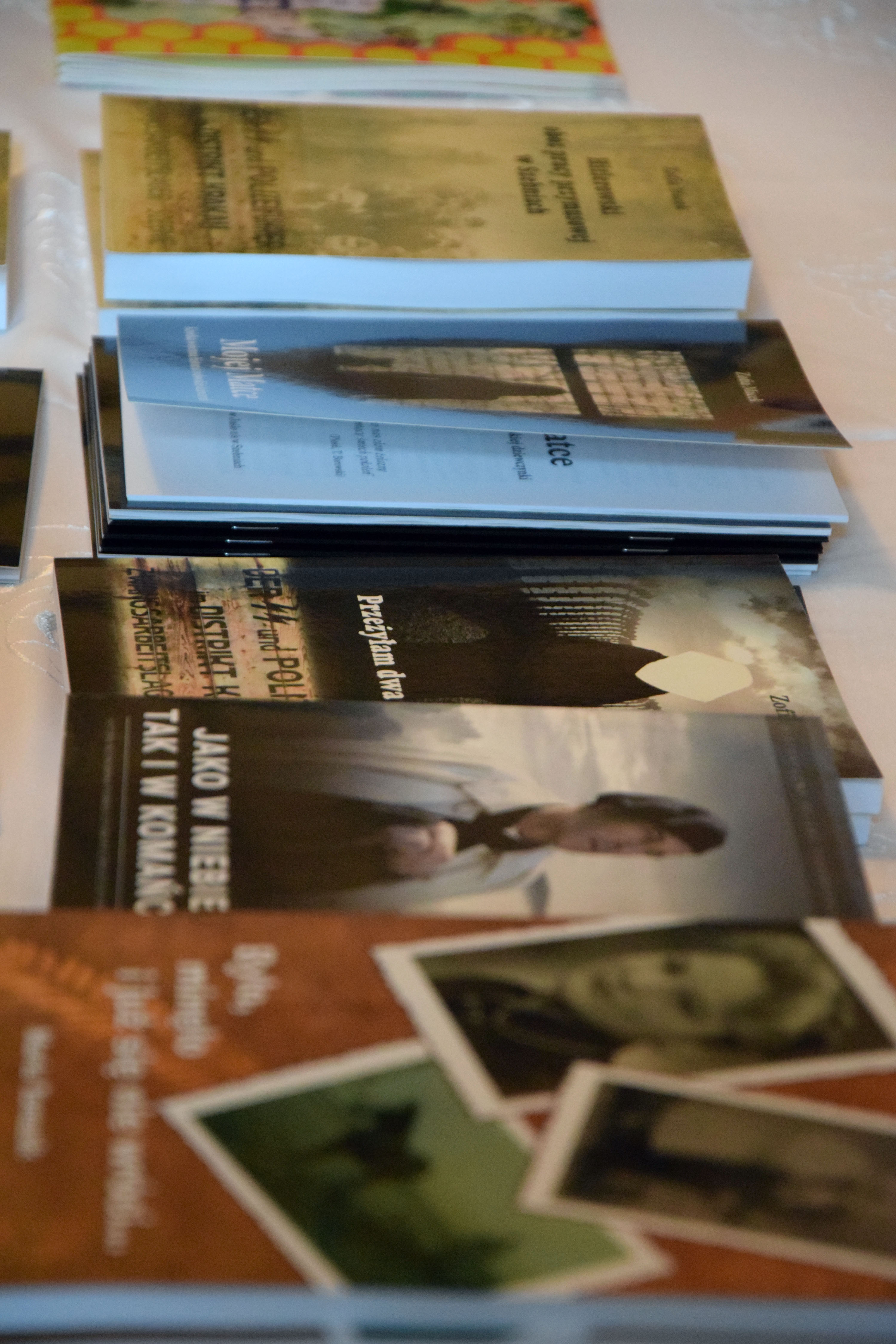 Warzyce - serwis informacyjny wsi. Warzyce.pl