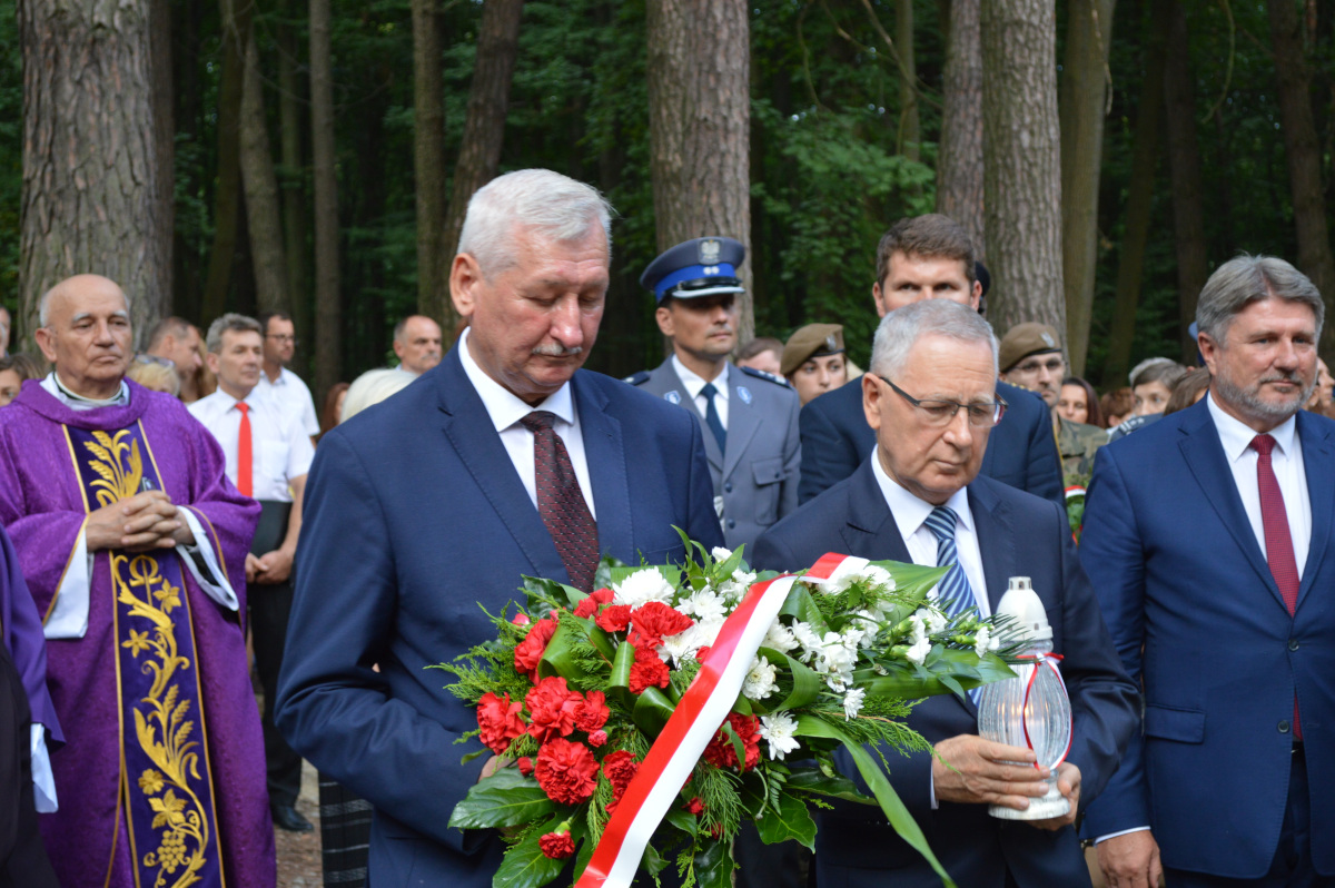 Warzyce - serwis informacyjny wsi. Warzyce.pl