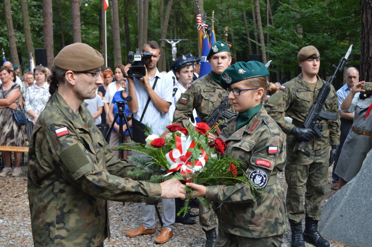 Warzyce - serwis informacyjny wsi. Warzyce.pl