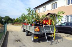 brog_2020_005