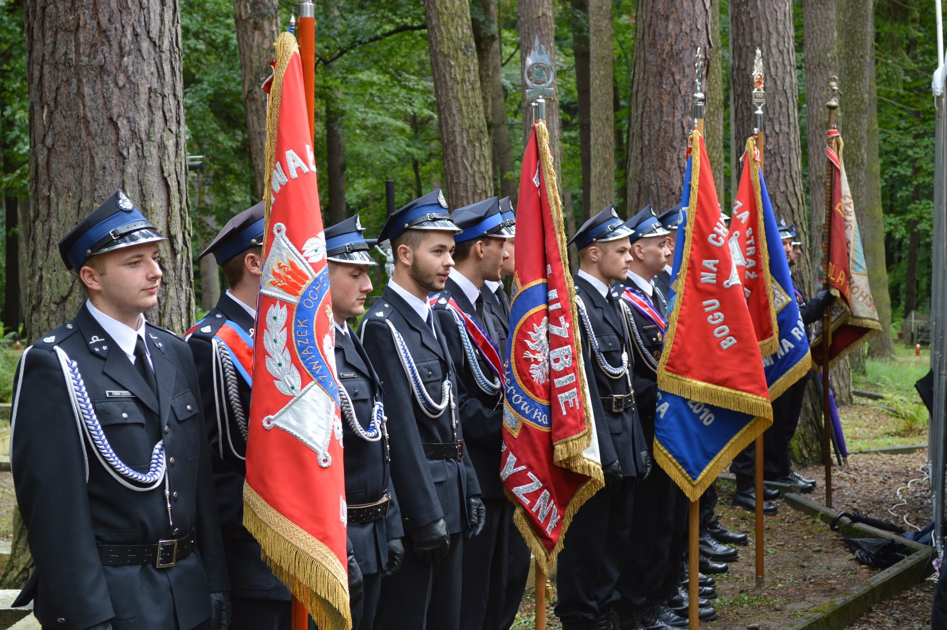 Warzyce - serwis informacyjny wsi. Warzyce.pl