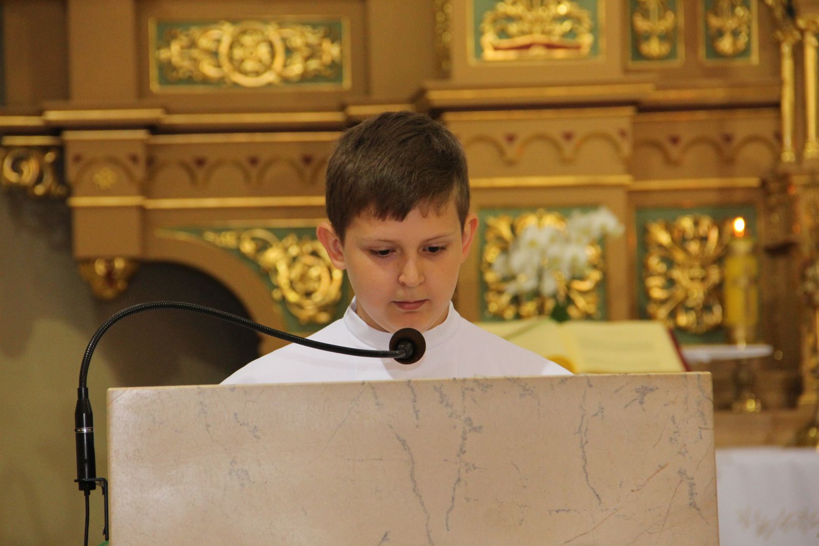 Warzyce - serwis informacyjny wsi. Warzyce.pl