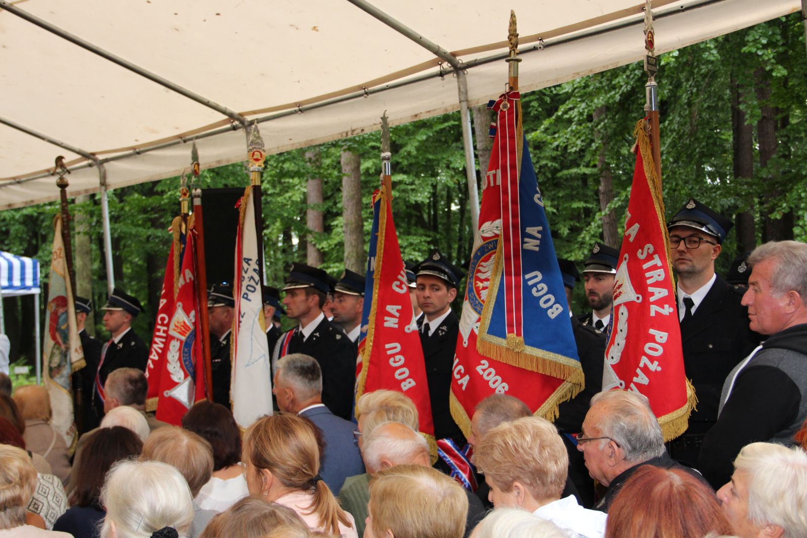 Warzyce - serwis informacyjny wsi. Warzyce.pl