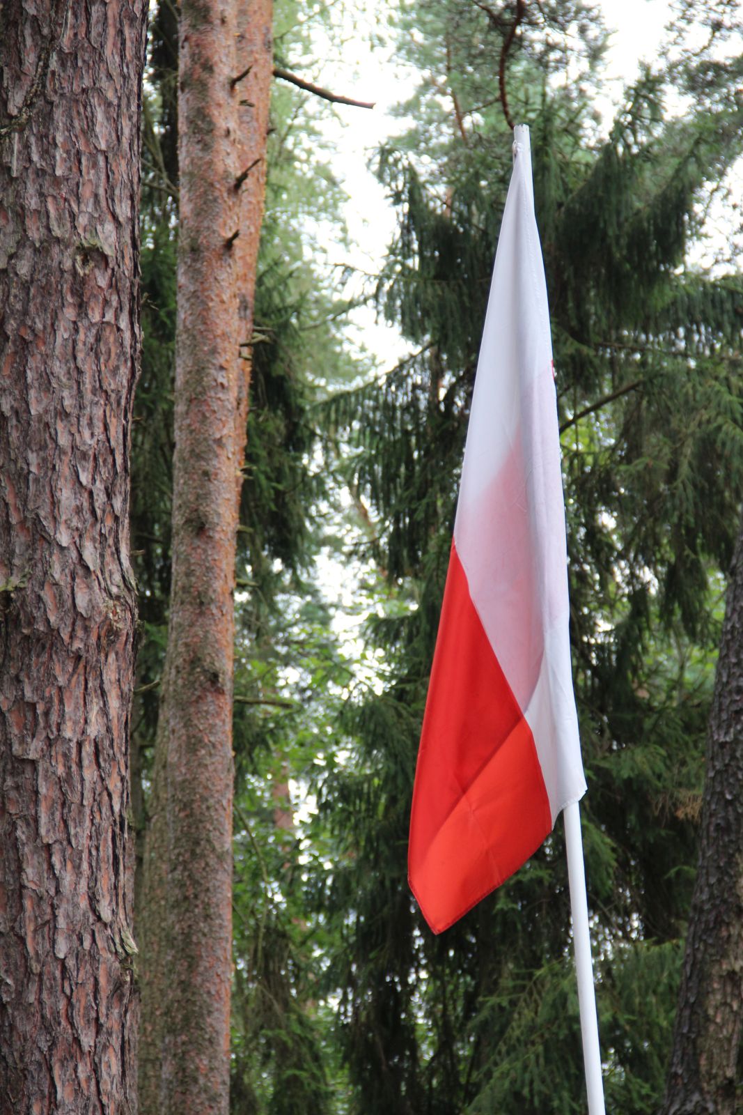 Warzyce - serwis informacyjny wsi. Warzyce.pl