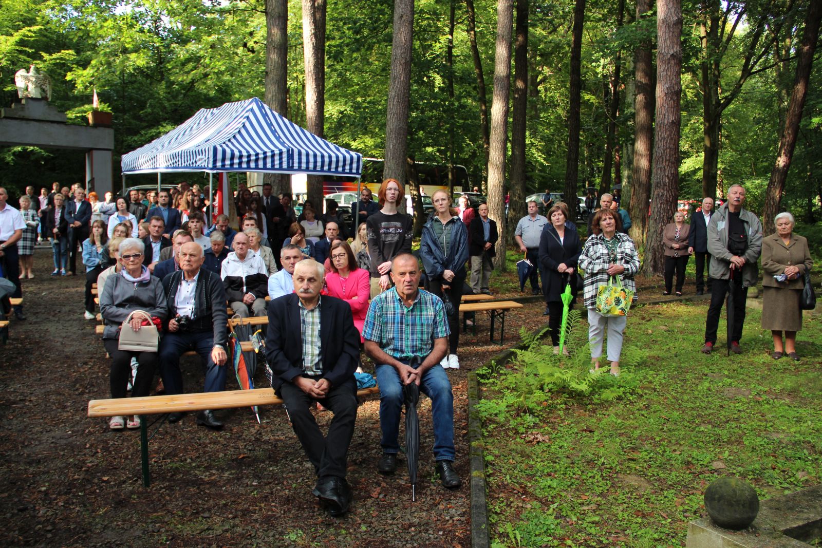 Warzyce - serwis informacyjny wsi. Warzyce.pl