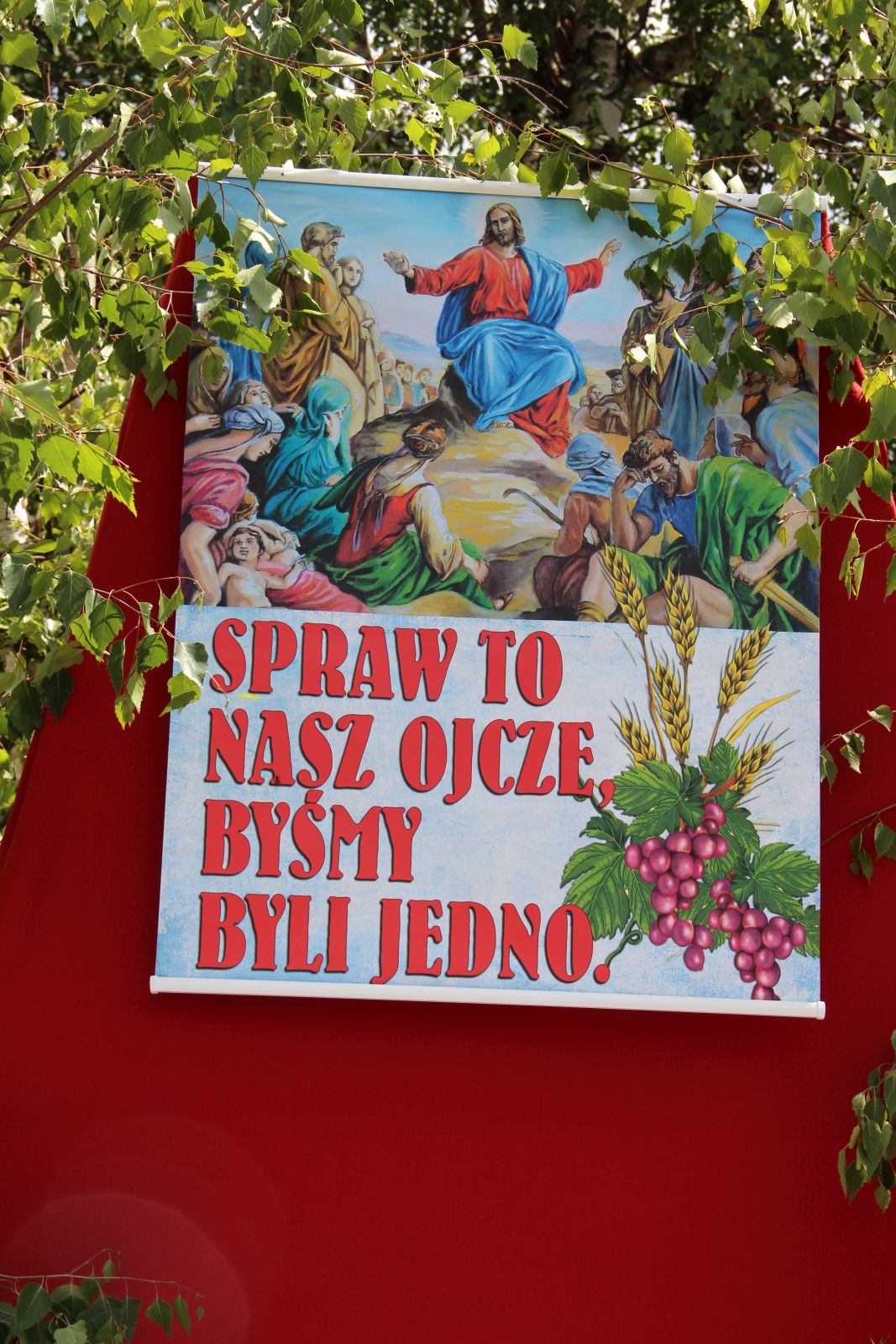 Warzyce - serwis informacyjny wsi. Warzyce.pl