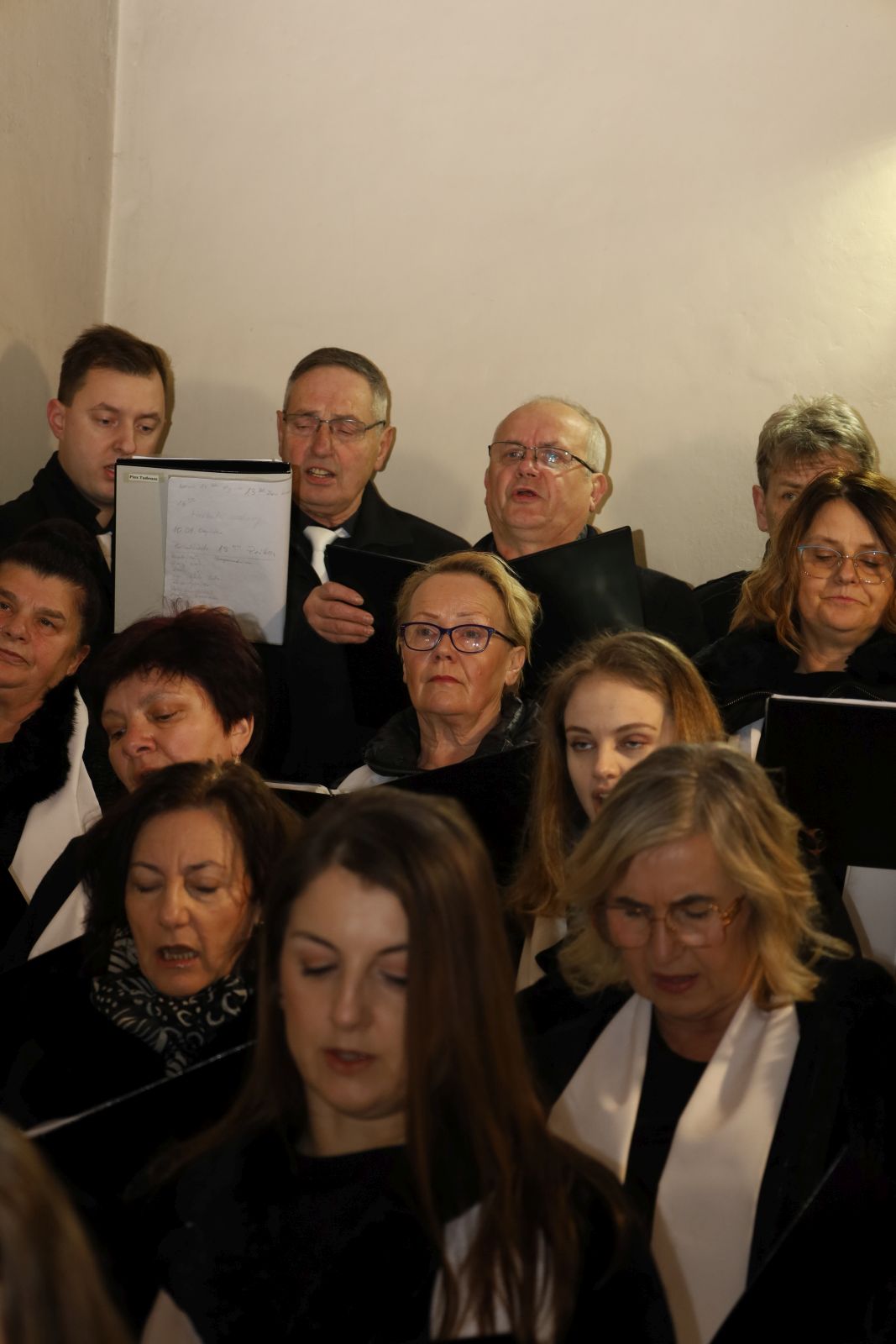 Warzyce - serwis informacyjny wsi. Warzyce.pl