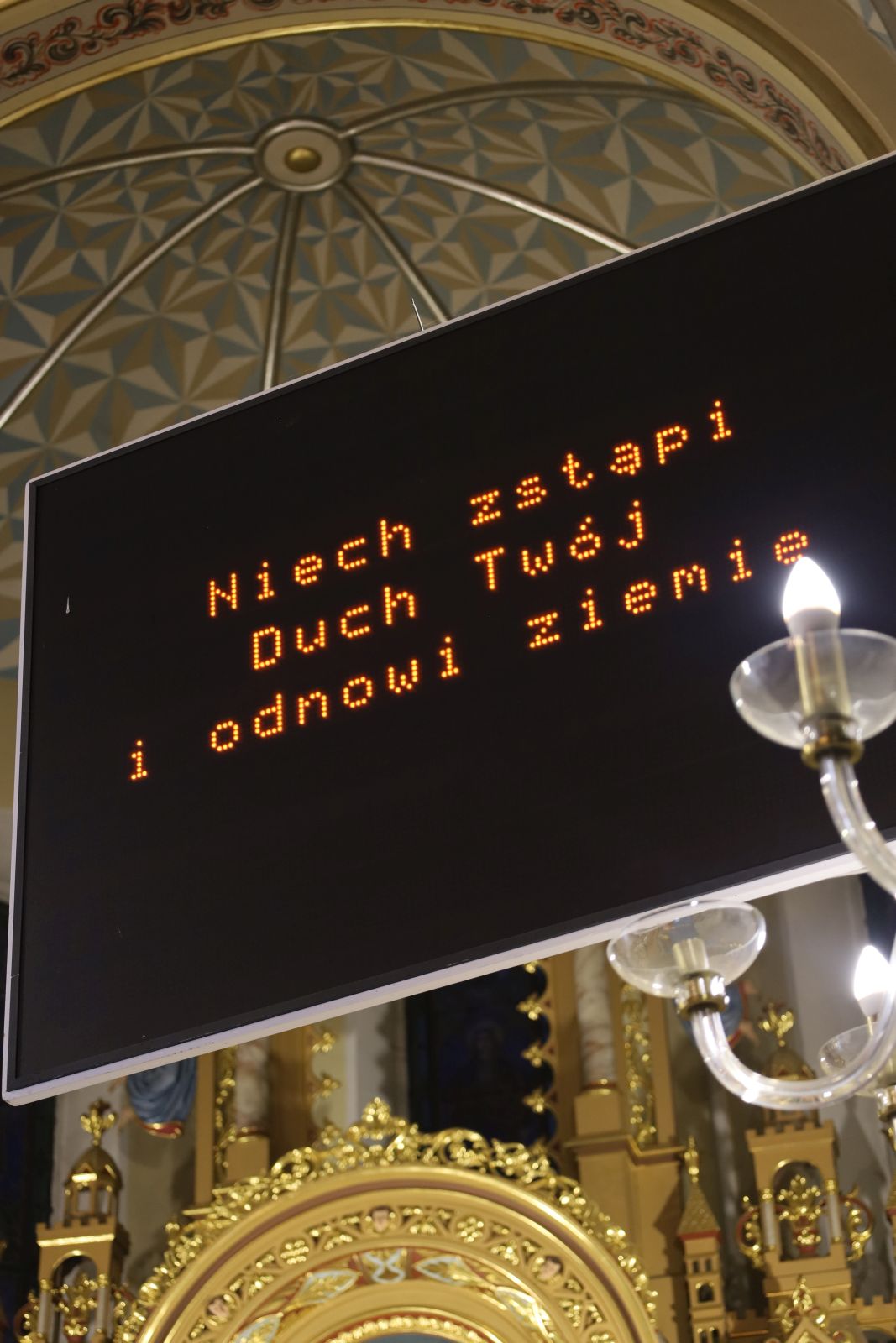 Warzyce - serwis informacyjny wsi. Warzyce.pl
