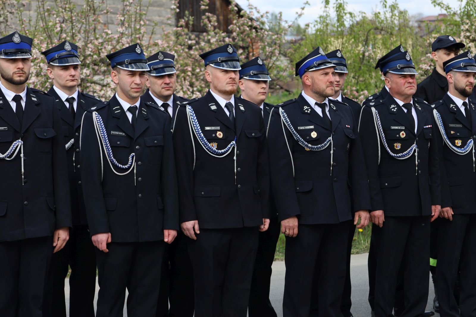 Warzyce - serwis informacyjny wsi. Warzyce.pl