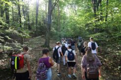 marsz_pamieci_2026_037