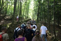 marsz_pamieci_2026_038
