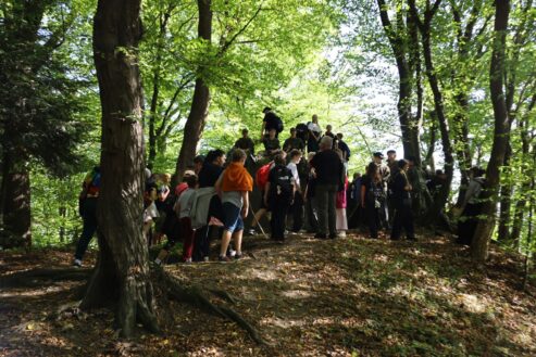 marsz_pamieci_2026_049