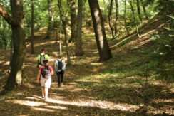 marsz_pamieci_2026_060