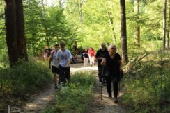 marsz_pamieci_2026_067