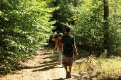 marsz_pamieci_2026_068