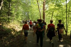 marsz_pamieci_2026_074