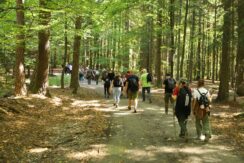marsz_pamieci_2026_078