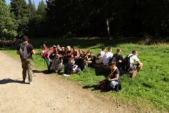 marsz_pamieci_2026_090