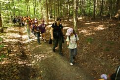 marsz_pamieci_2026_119
