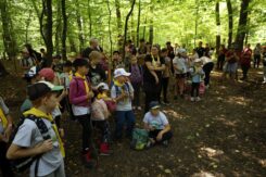 marsz_pamieci_2026_130