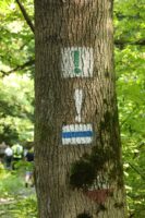 marsz_pamieci_2026_143