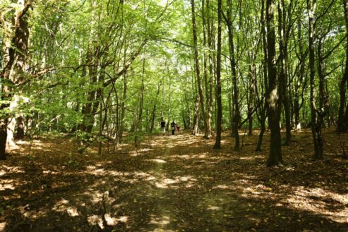 marsz_pamieci_2026_147
