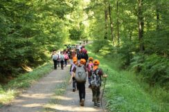 marsz_pamieci_2026_154
