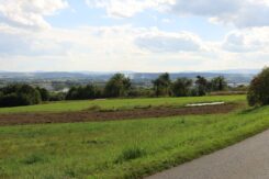 marsz_pamieci_2026_168