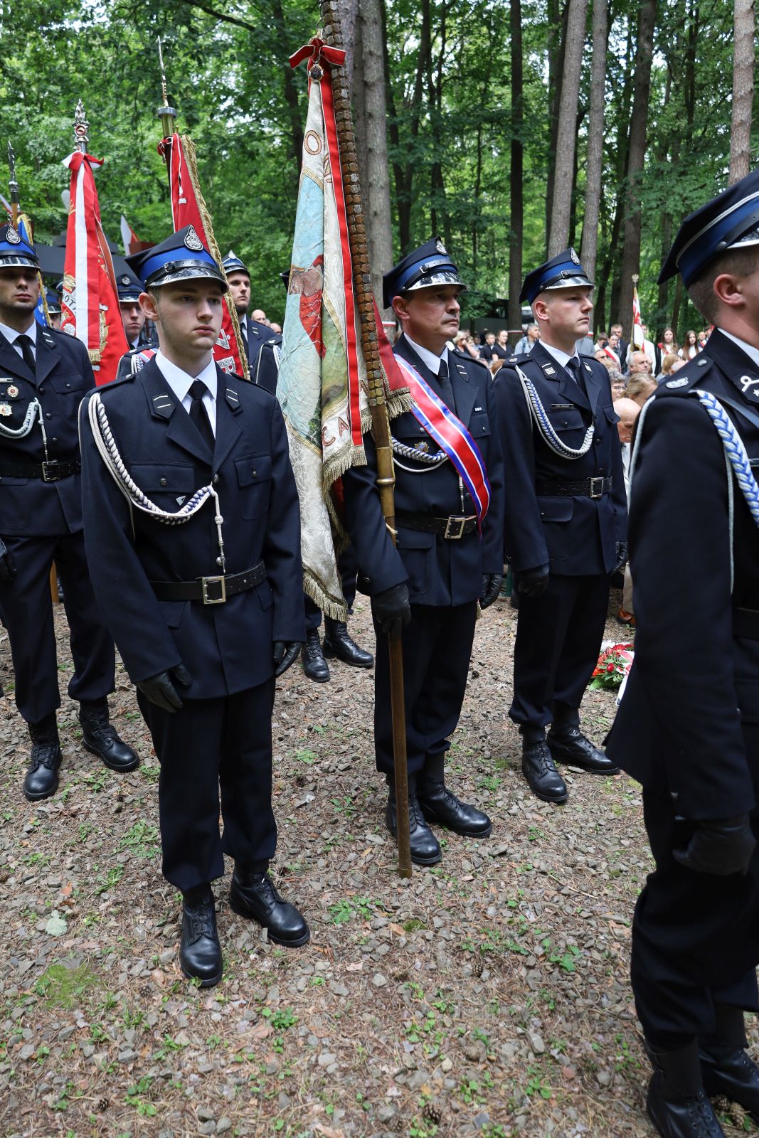 Warzyce - serwis informacyjny wsi. Warzyce.pl