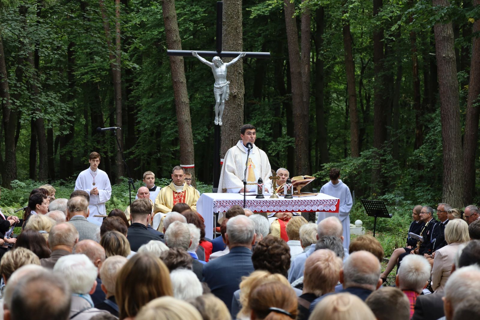 Warzyce - serwis informacyjny wsi. Warzyce.pl