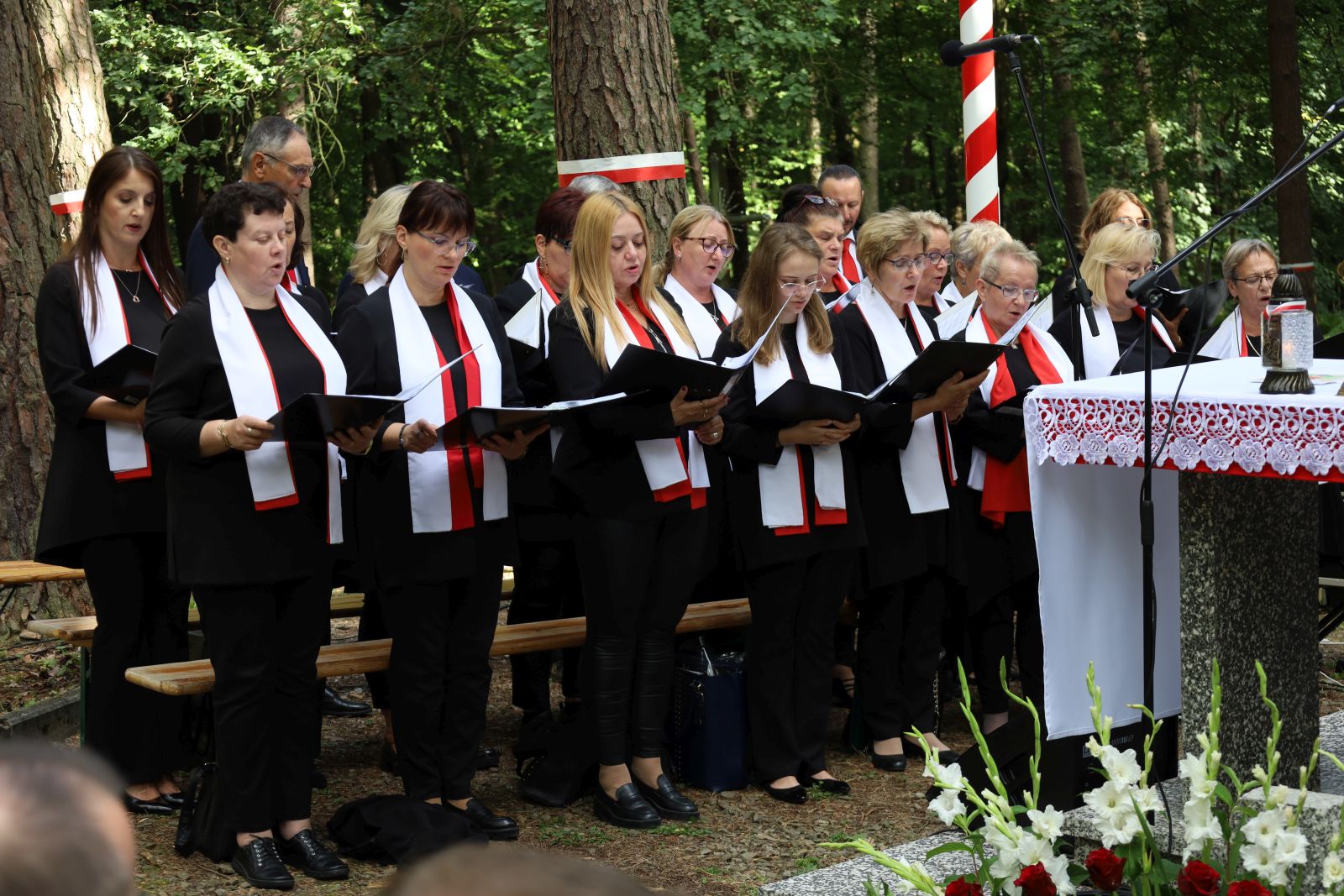 Warzyce - serwis informacyjny wsi. Warzyce.pl