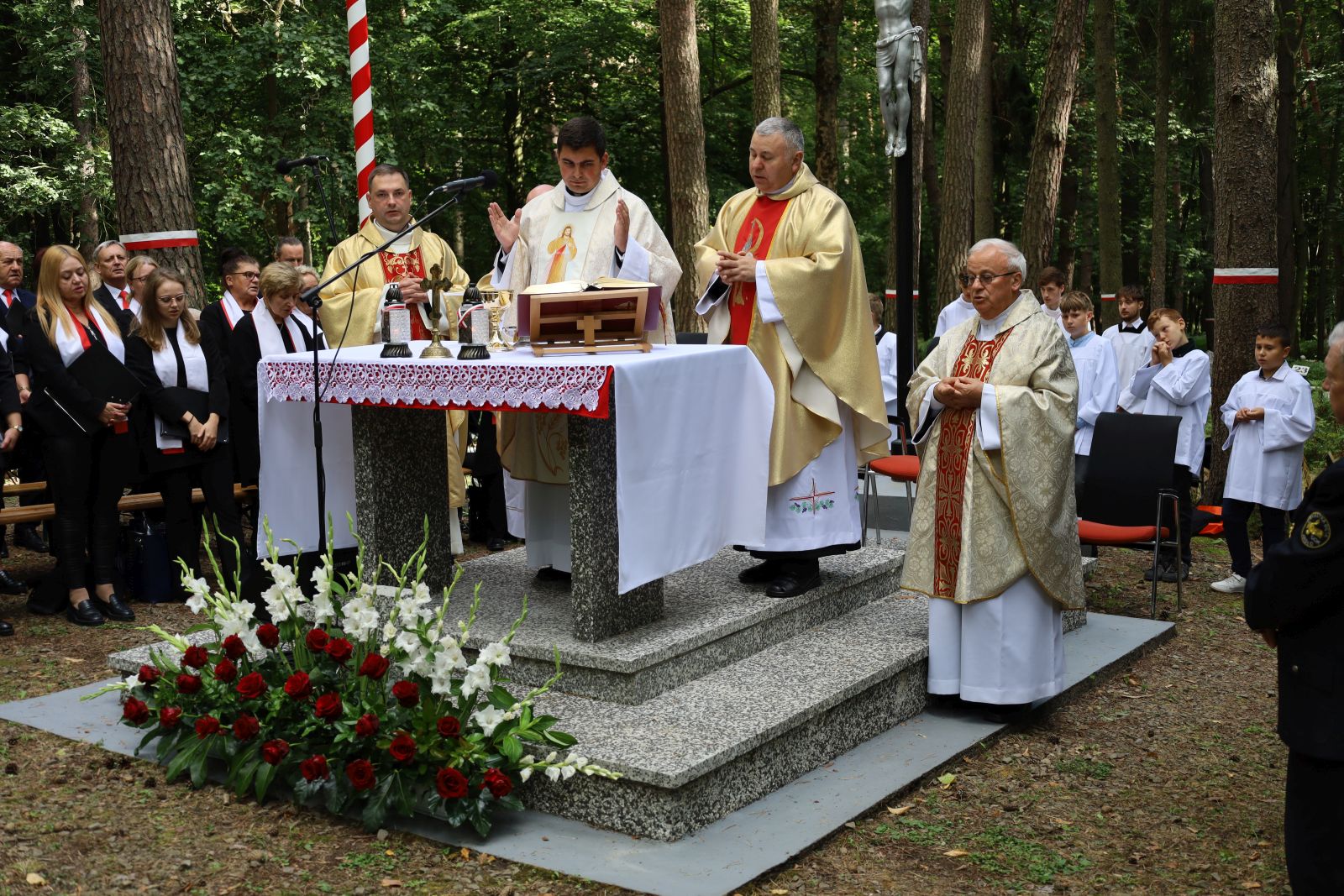 Warzyce - serwis informacyjny wsi. Warzyce.pl