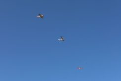 inscenizacja zrzutu_2026_041